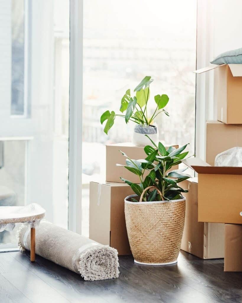Commercial Movers