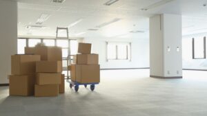 Office Storage and Facilities Services