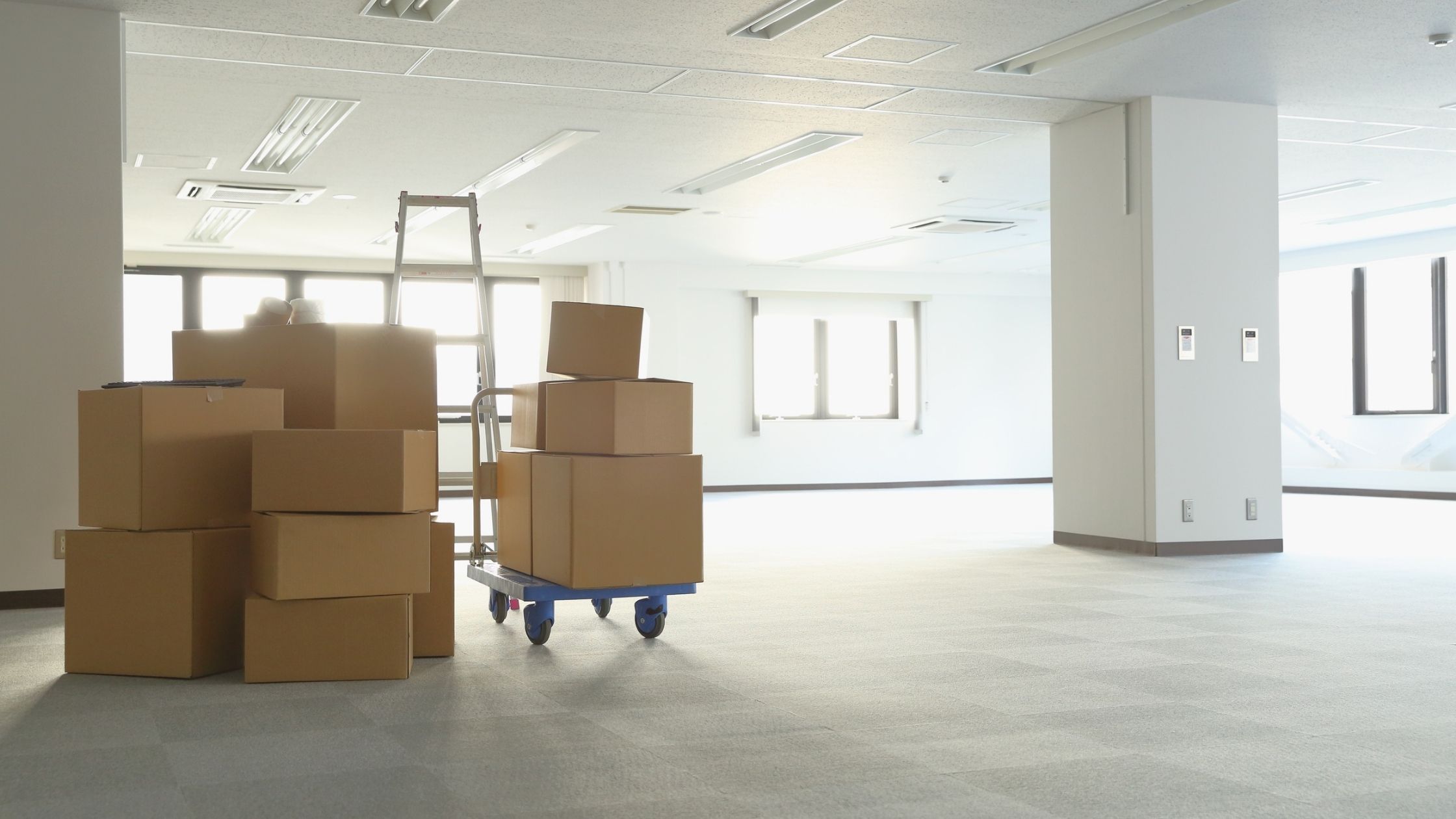 Office Storage and Facilities Services